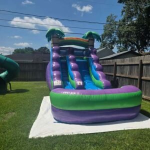 Purple Single Water Slide